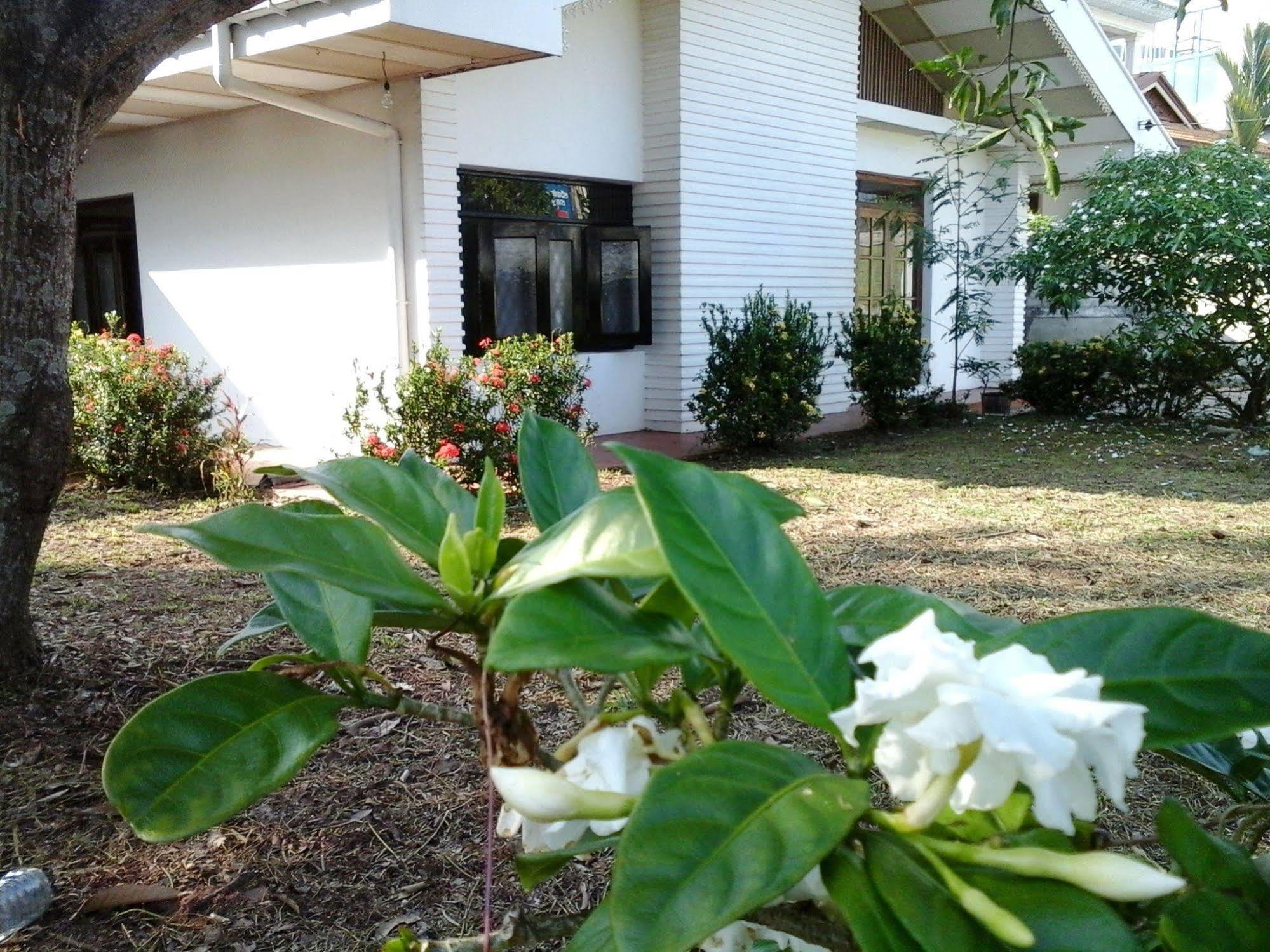 Mazz Homestay Negombo Kültér fotó