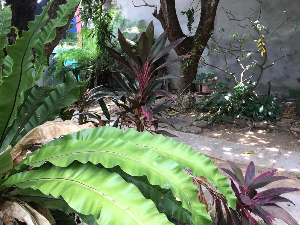 Mazz Homestay Negombo Kültér fotó